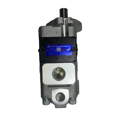 CPCD80-100 فولادی هیدرولیک پمپ فولادی A45E7-10202 برای قطعات سری HELI H2000