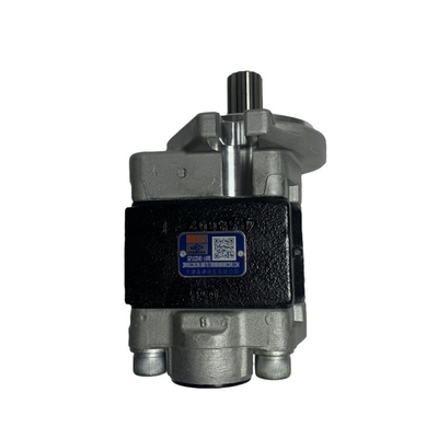 پمپ قطعات فولادی تضمین شده SGP1A32D4H1-1489D برای R305-601100-000 CPCD30 فورک لیفت