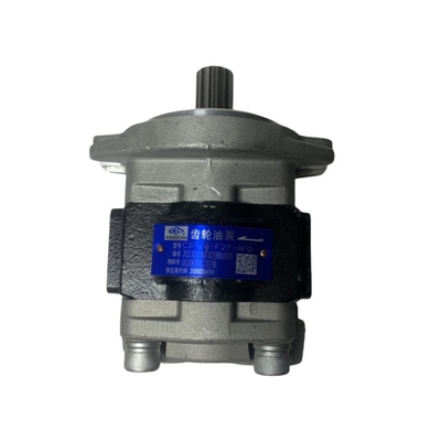 پمپ چرخ دنده ها CBHZA-F25-AF GR501-601300-000 برای دستگاه خرده فروشی CPCD50-70