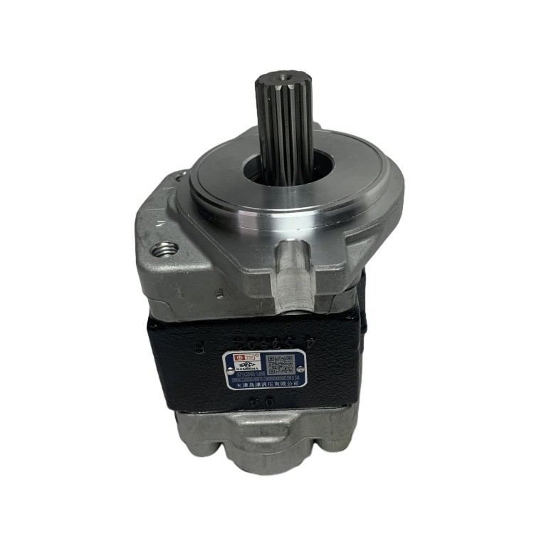 پمپ قطعات فولادی تضمین شده SGP1A32D4H1-1489D برای R305-601100-000 CPCD30 فورک لیفت