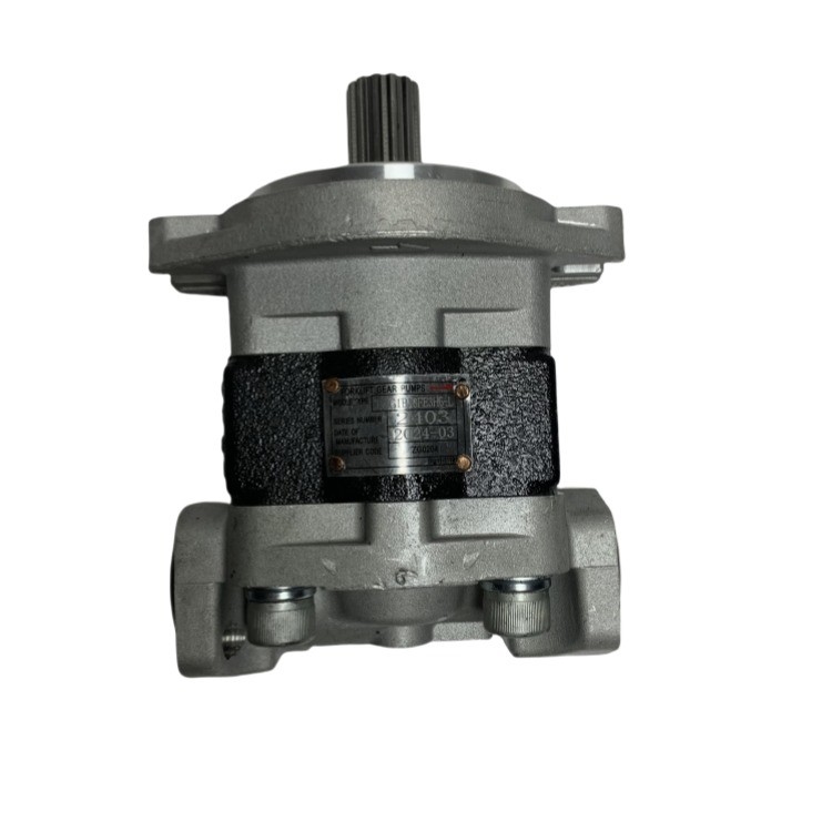 TMG1B18FE3H5-L پمپ دنده برای CPC80-100 وزن فولک لفت 4.5 kg و عمر طولانی